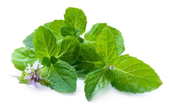 Mintbladeren in de spray zxcvbnmqwert