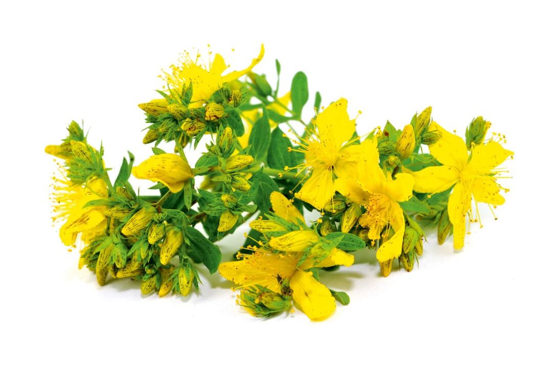St. John's Wort in de spray Zxcvbnmqwert